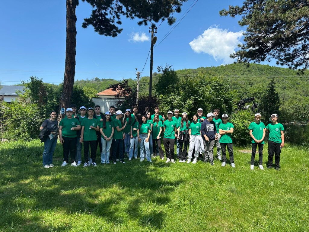 green 4 life IMG 20250615 WA0093